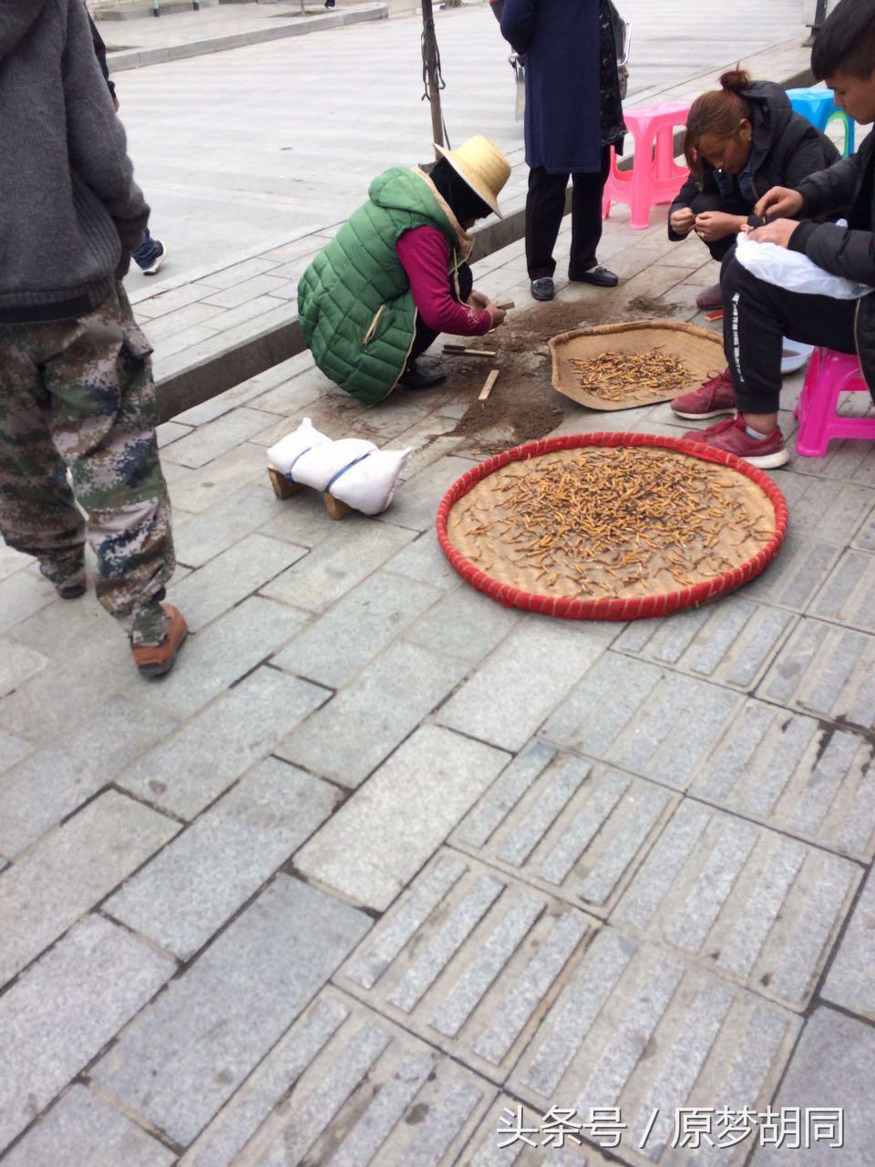 西藏之旅到达拉萨,去拉萨12天之行