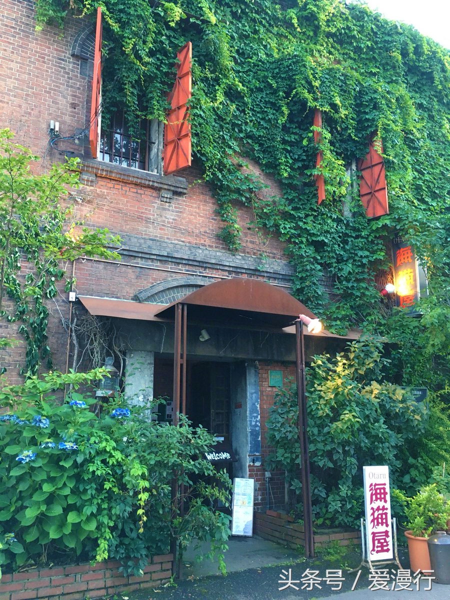 吃货小情书,一封来自小樽的情书完整版