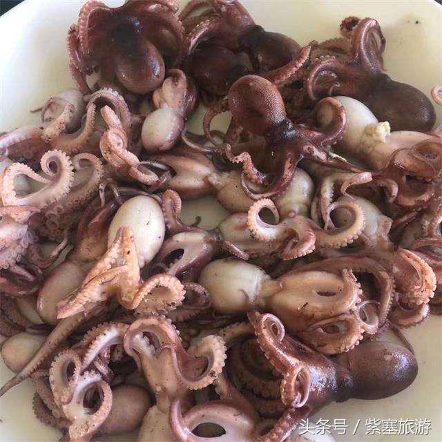 河北田园农家乐攻略,河北海边最有特色的海边农家乐