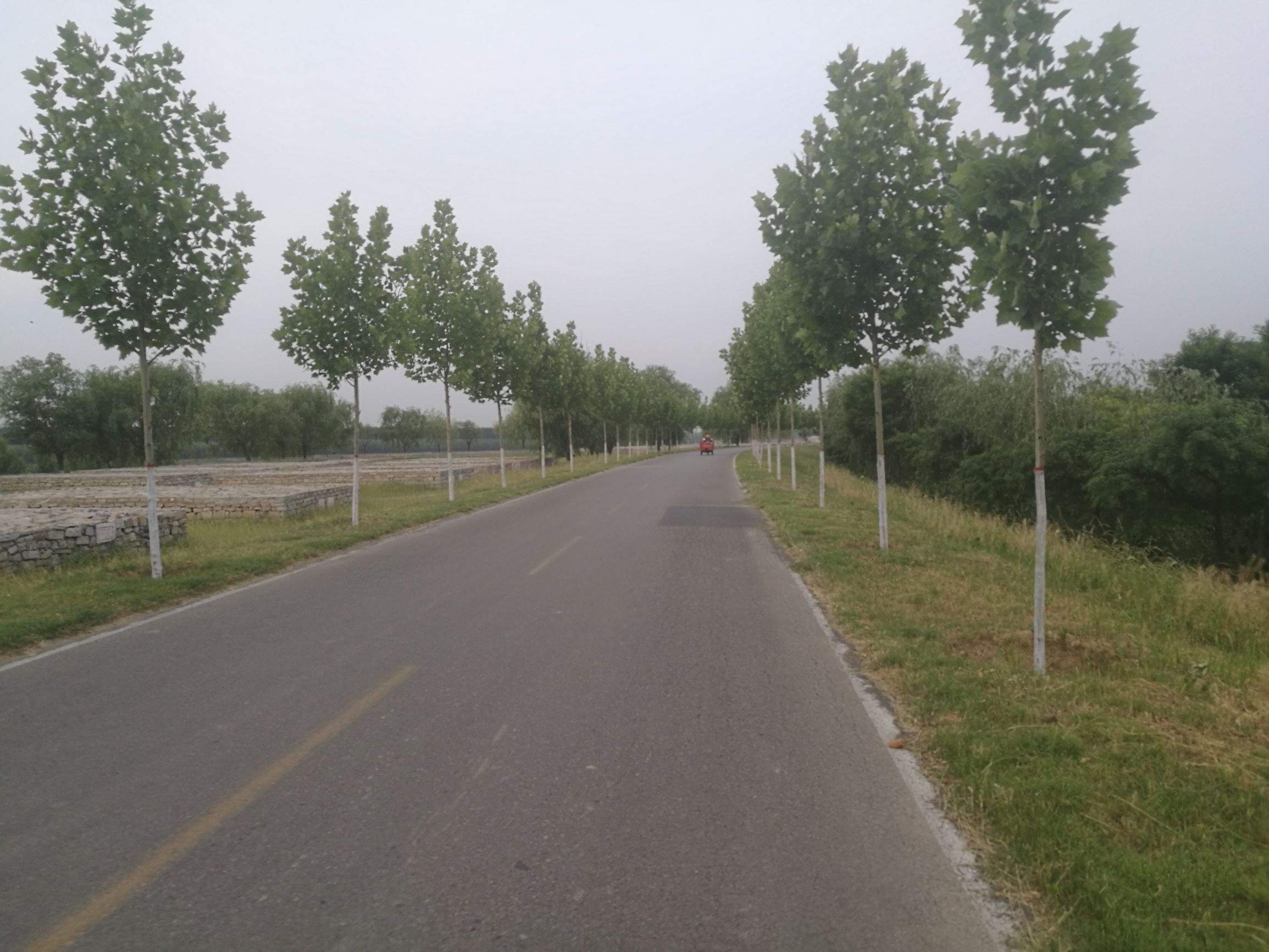 手机丢了怎么办教你一招永远不丢,手机丢了快速找回技巧