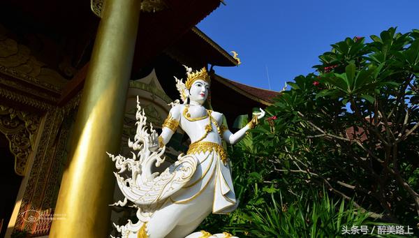 西双版纳在水一方泼水节,版纳哪里可以感受泼水