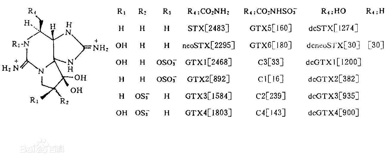 为什么尽量不要吃赤潮期间的贝类,警惕贝类毒素