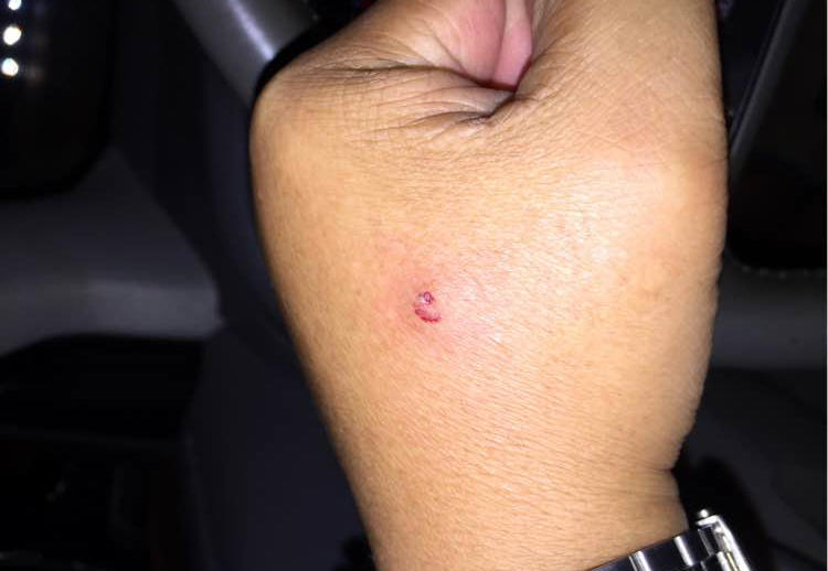 终于学会一门技术,终于学会了一项新技能