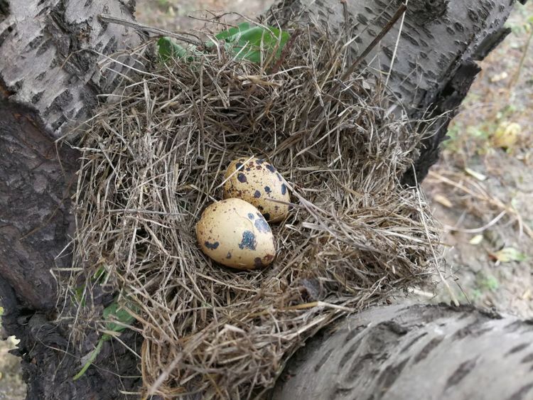 暑假桃源一日游,荥阳高村沐恩生态园