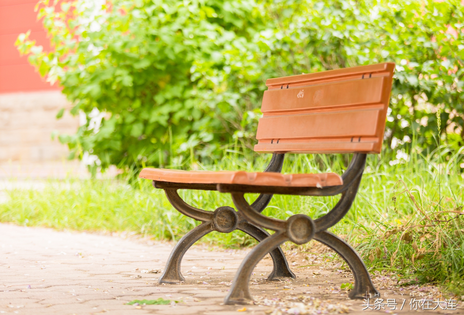 山西大同大学介绍,山西大同大学简介