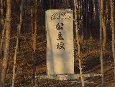 公主坟冷清,公主坟繁华吗