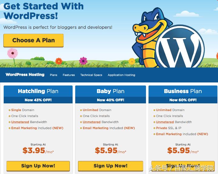 wordpress快速建站教程,wordpress怎么建站教程
