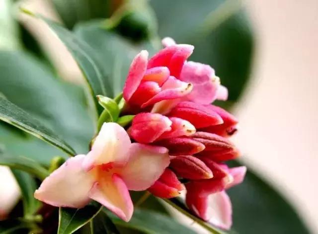 2017南昌人终极考卷，答完你会怀疑自己是不是在南昌生活过！