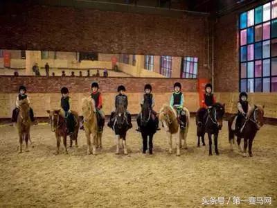 骑马的治愈作用是什么,马中风可以治疗吗