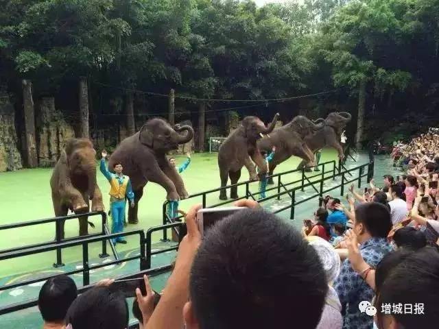 增城游玩推荐免费景点攻略,增城免费旅游景点攻略