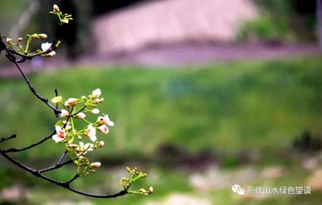 您好！我叫望谟，这是我的新名片~