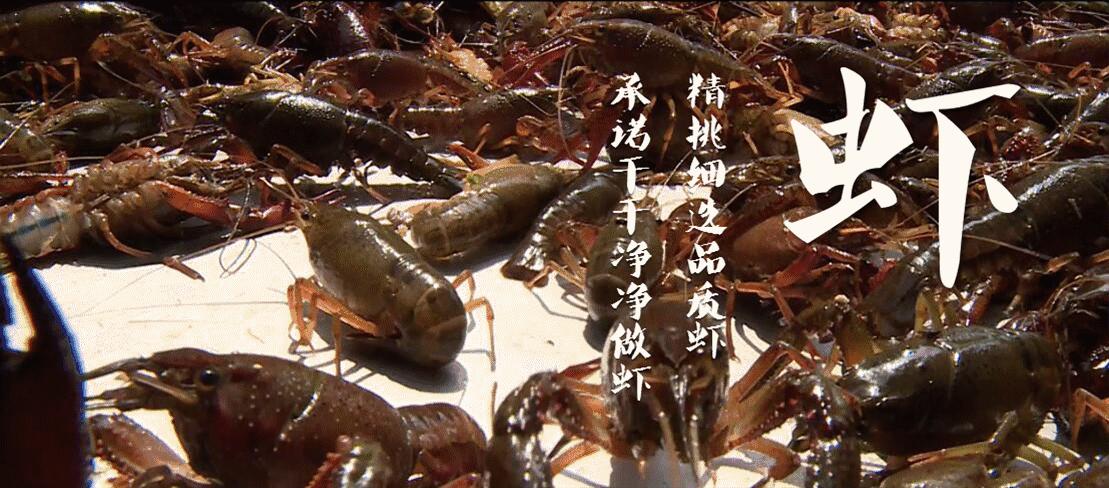 火爆全城的啤酒龙虾节来袭,惠山龙虾啤酒节