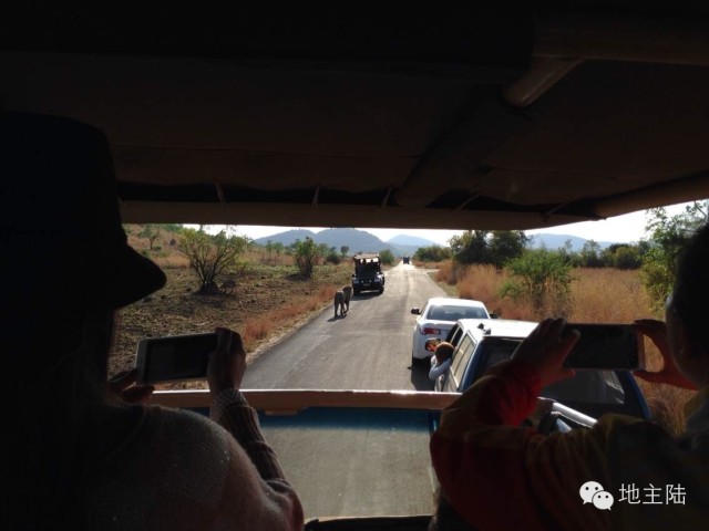 南非旅游照片,从南非回国的人