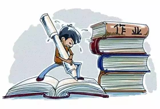 「资讯」第七届“海贼王”航海公益夏令营开始招募啦