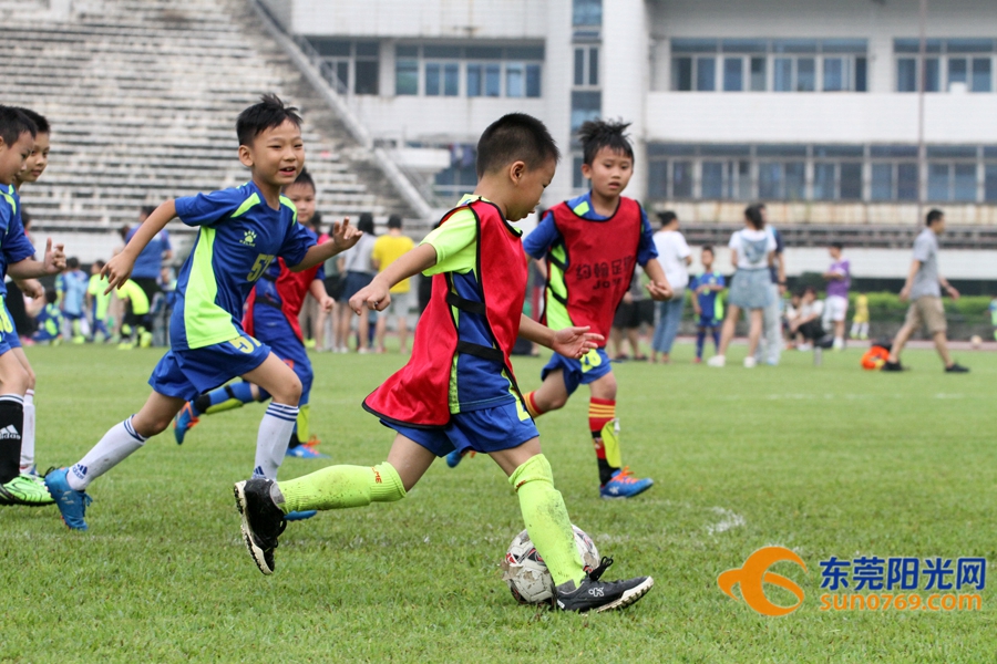 足球小将战术阵型和分析,怎样正确判断足球输赢