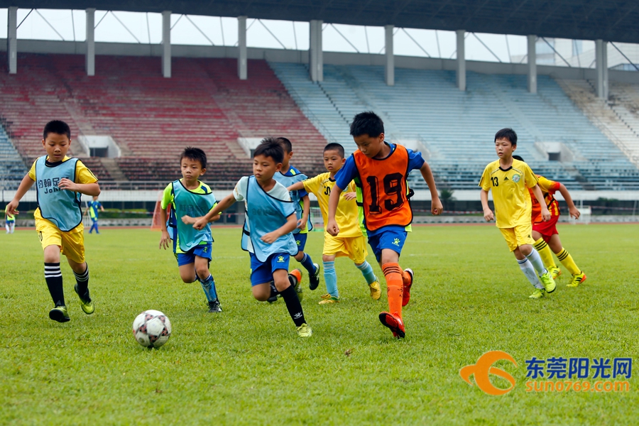 足球胜负怎么理解,如何做到足球胜负分析精准