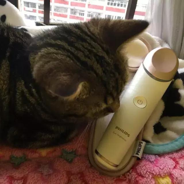 明星都在用的美容手法,抗老明星推荐美容仪有哪些