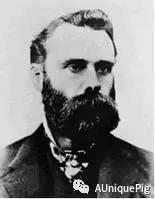 技术分析的鼻祖现在都怎么样,技术分析经典道氏理论