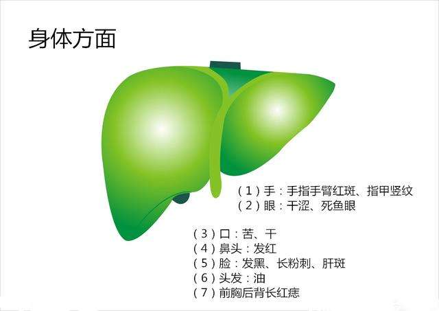 对肝脏最好的水果一定要多吃,经常吃这三种水果保护肝脏