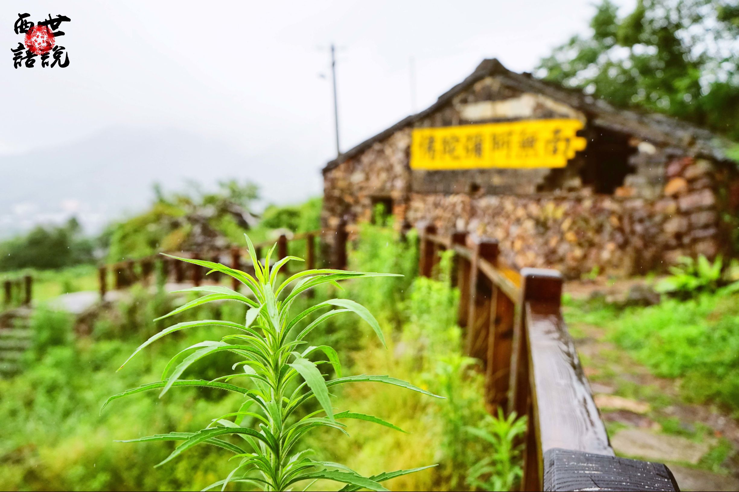 矾山矾矿遗址福德湾旅游攻略,福德湾矾矿遗址