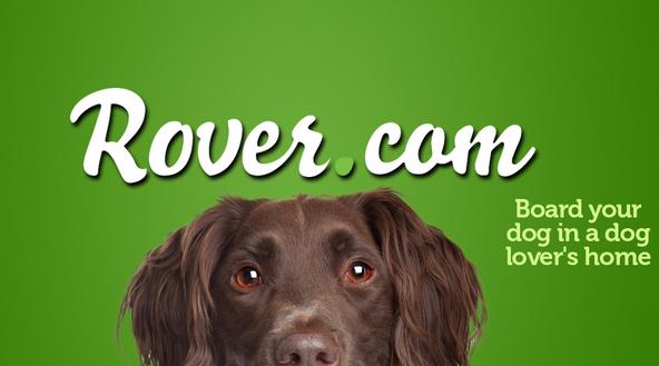 开会不能遛狗?出差在外狗狗怎么办?宠物界Uber与Airbnb帮您搞定爱宠所需!