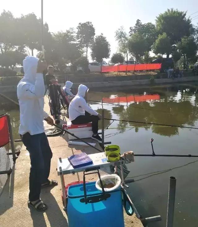 河南最近有哪些钓鱼比赛,南阳钓鱼竞技比赛