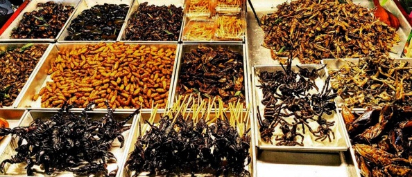 清迈小吃5天不重样,清迈唐人街小吃