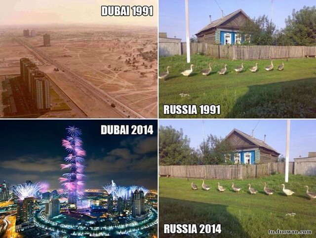 每日一笑佛系猫咪图片,每日一笑中二少年的寻猫启事