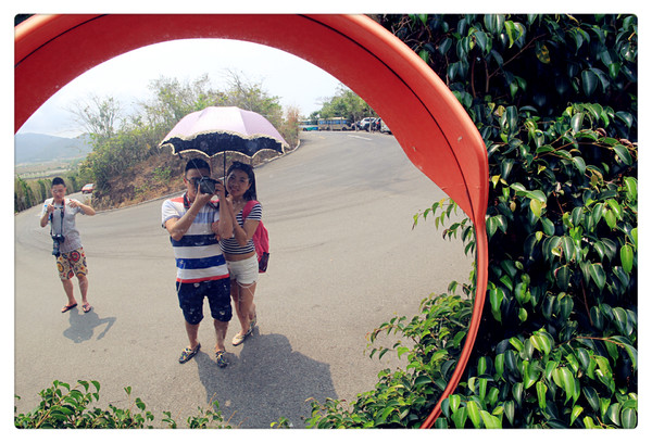 在三亚总有一片海属于一个人,在三亚椰梦长廊海边