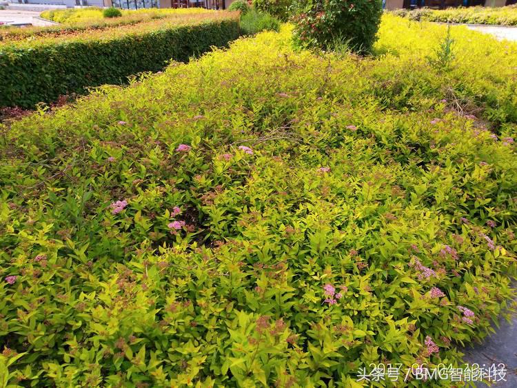 所有的闪光点,这5点特质同样可以俘获男人心