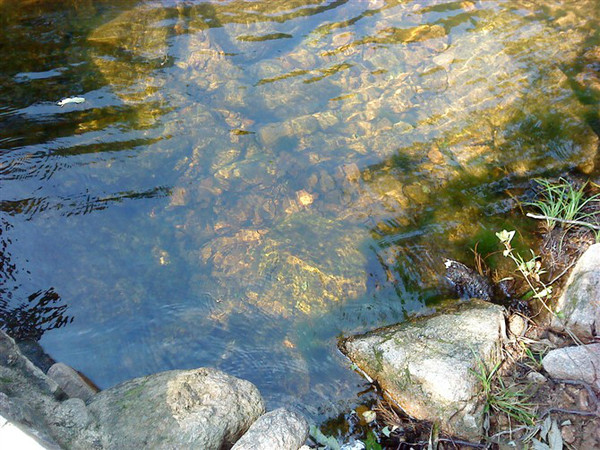 鲁山画眉谷一日游攻略,平顶山画眉谷一日游费用