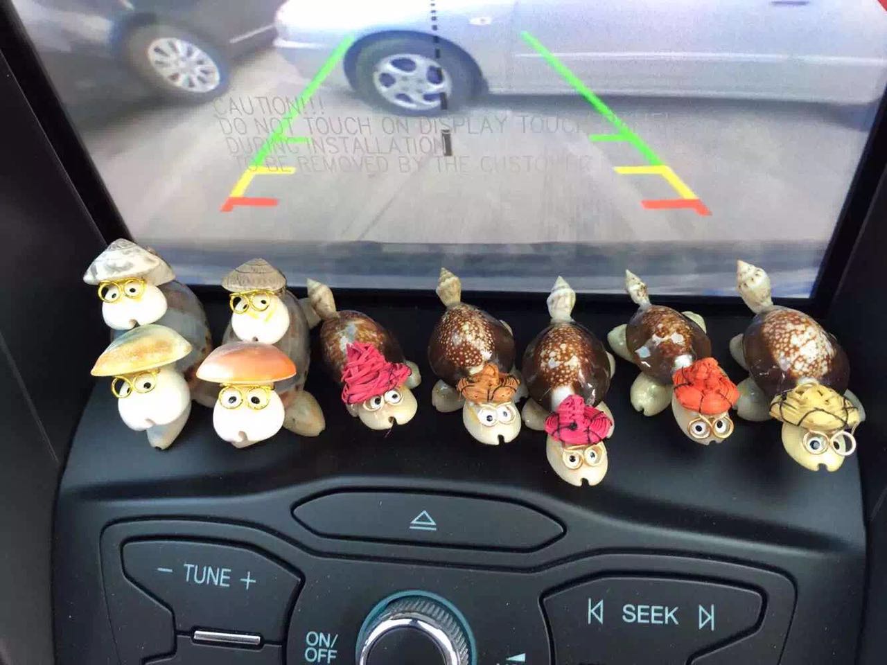 适合开着到处旅行的车,开车能去的绝美海岛