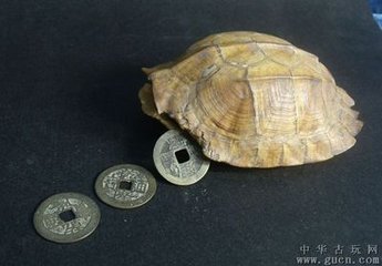 易经大师之梅花易数,易经中的梅花八卦