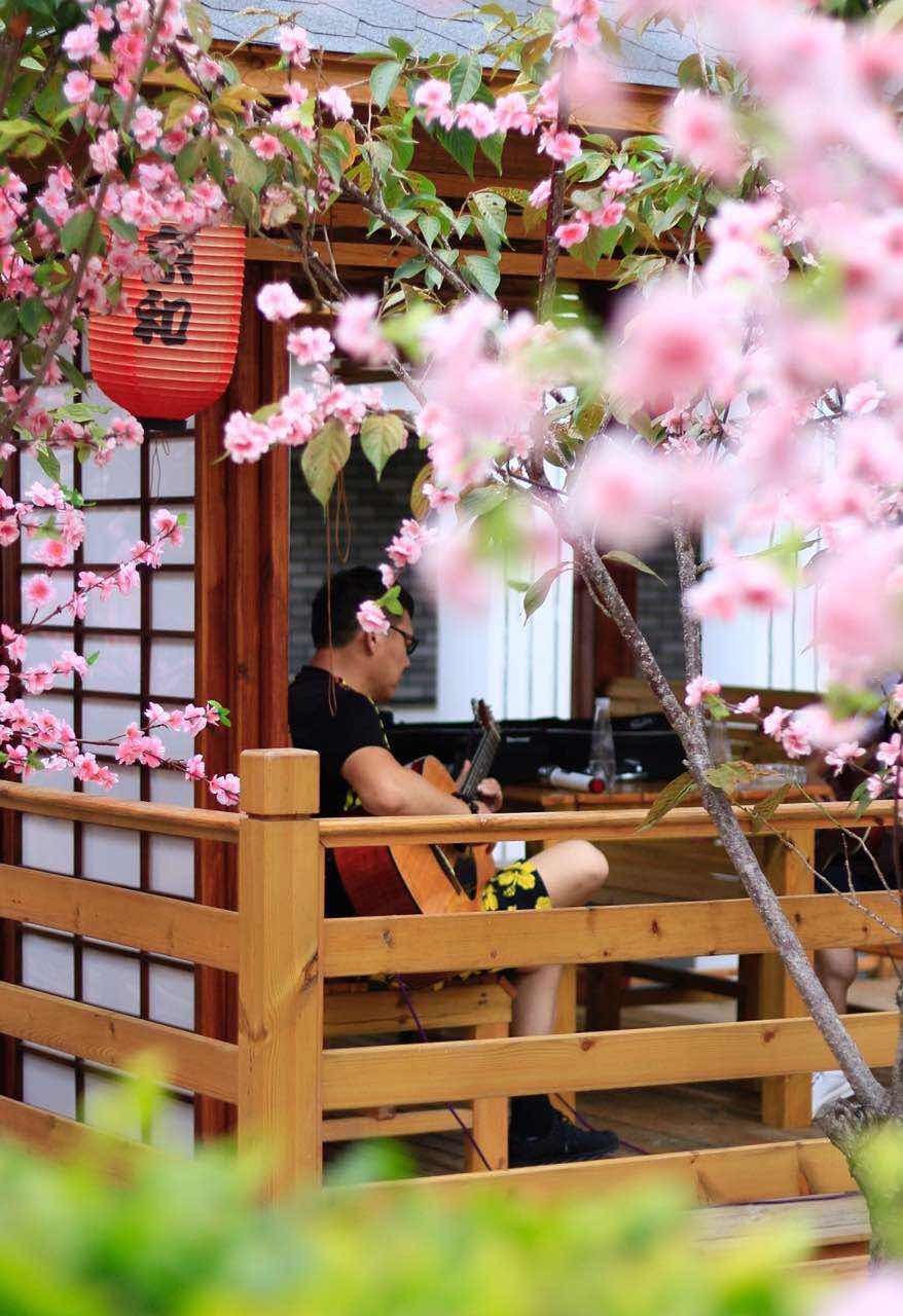 佳能70d配24mm头图片,佳能70d配18-55镜头怎么样