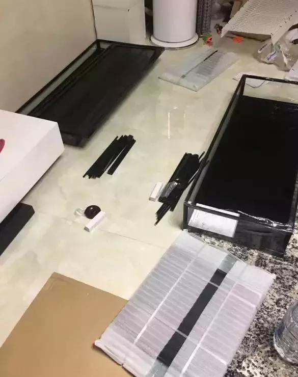 雨林缸生态水景,家居小鱼缸造景