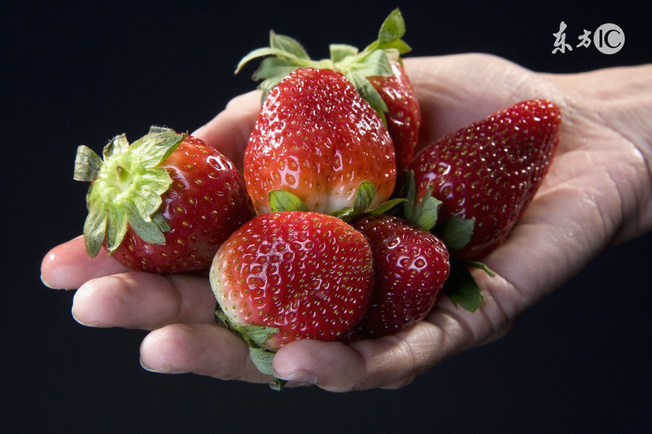 西瓜注水怎么能分辨出来,西瓜注水了的图片