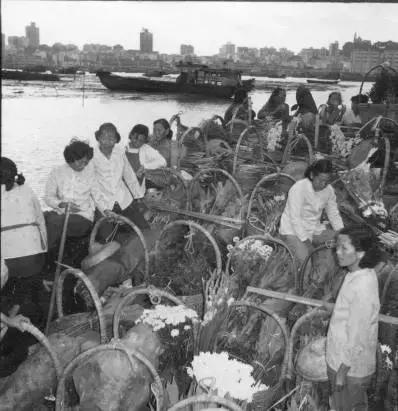 珠海建市后的建设热潮中，这样的石景山公园你一定没见过！