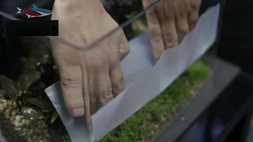 家庭草缸入门,家中草缸怎么设计