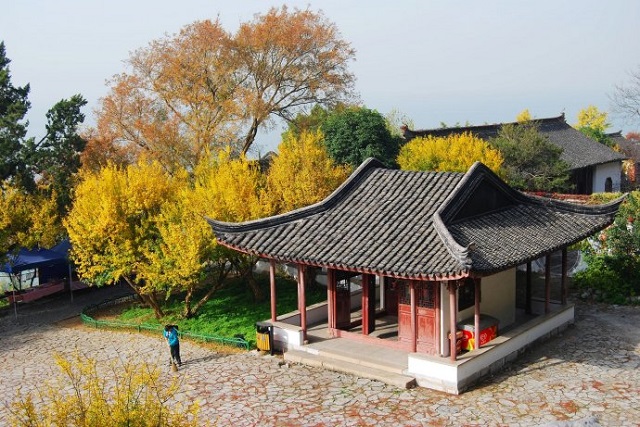 嵊泗列岛最美的岛,上海嵊泗岛攻略