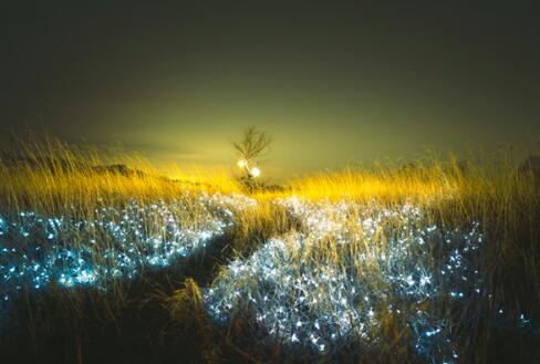 说服一个固执的人用什么方法,九种说服人的技巧堪称儒家经典