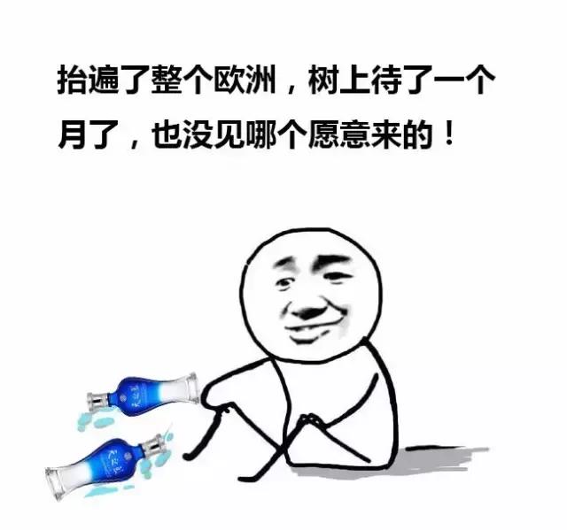 又是一年转会期，看看阿森纳、利物浦、曼联、皇马、拜仁以及米兰等足球俱乐部的酒后真言~