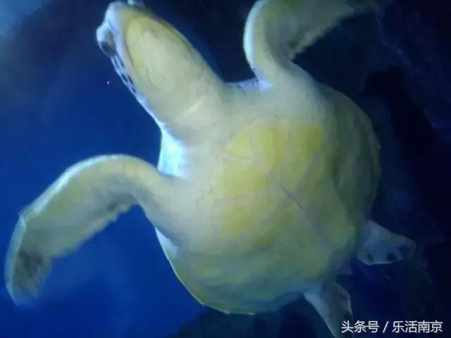 南京下雨天气能去游玩吗,在南京千万不要去的地方