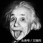 如何看自家狗狗是什么星座的,12星座对应的狗狗是哪个星座