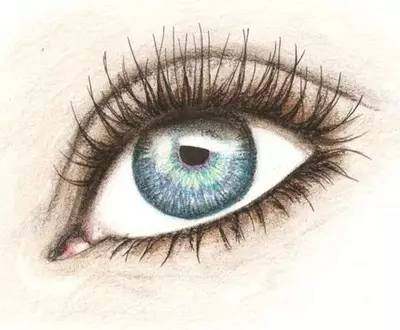 25岁眼霜推荐良心国货,20-25岁平价眼霜推荐