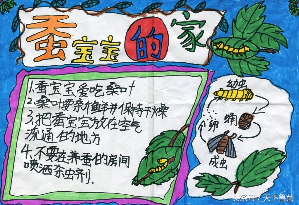 吐丝不结茧,吐司不拉丝