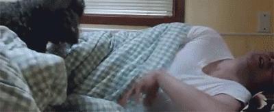 讲真｜论跑步，你可能还不如你家狗！