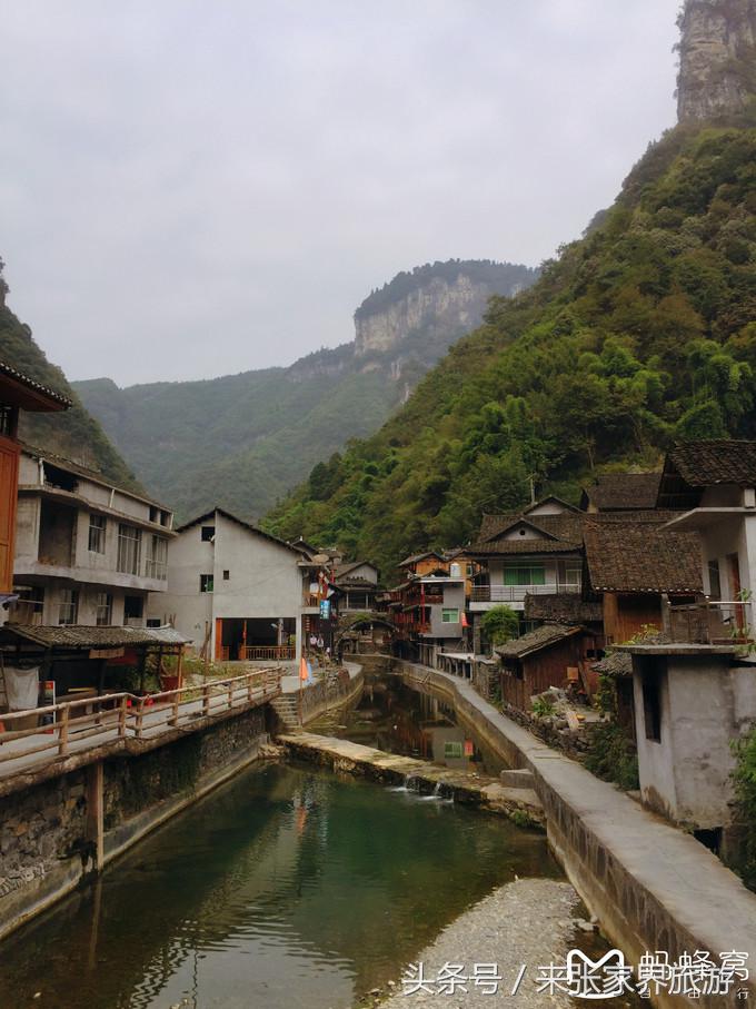 张家界五日游多少钱一个人 (自己张家界六日游详细攻略)