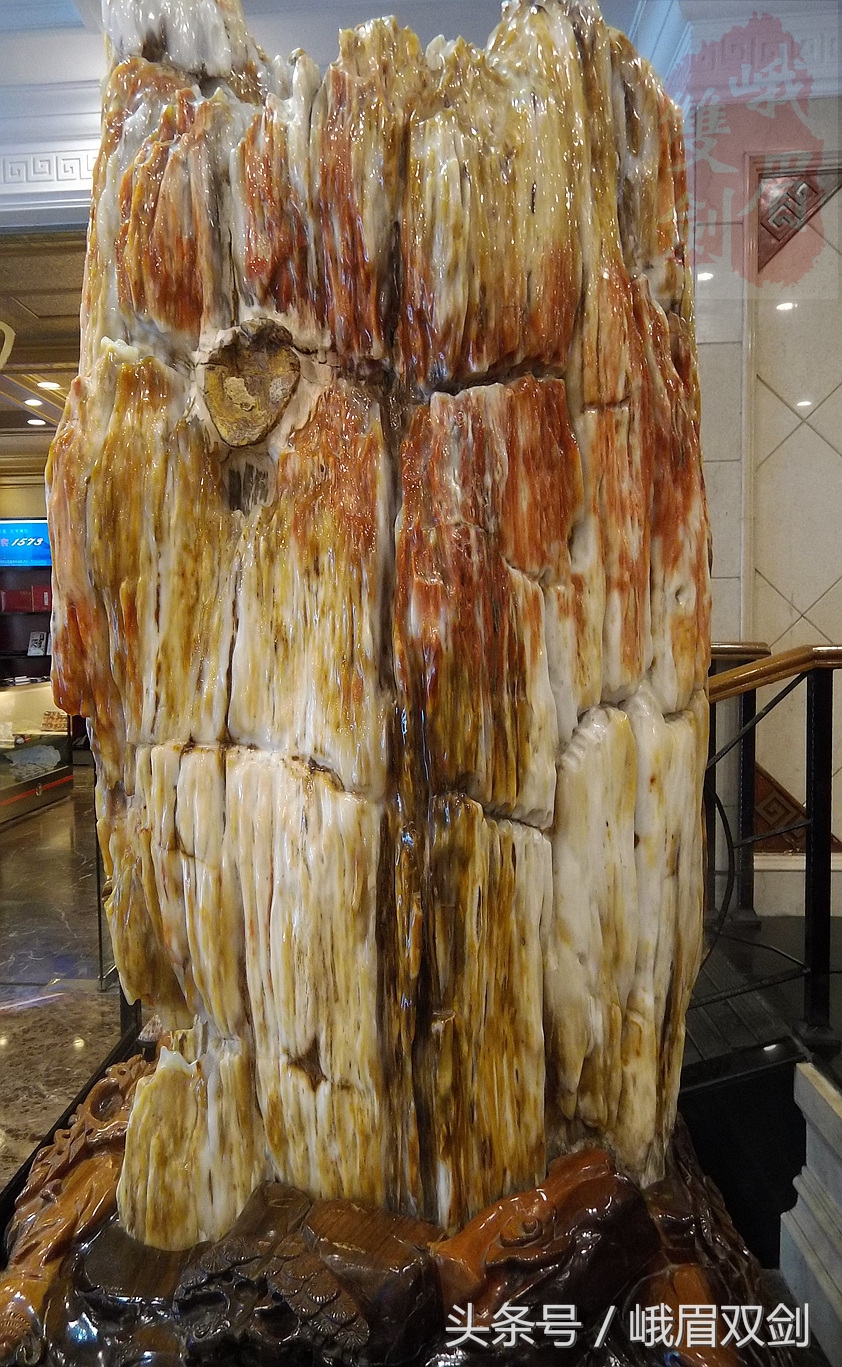 树化石收藏价值高吗,玉化树化石