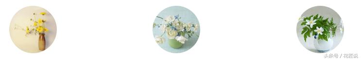 花艺插花花道有哪些区别,插花的几种基本造型花艺