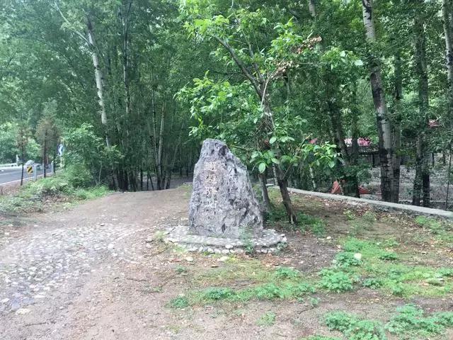 就是个简单的灶台鱼，凭什么招来那么多人？